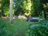 DSC05790.JPG